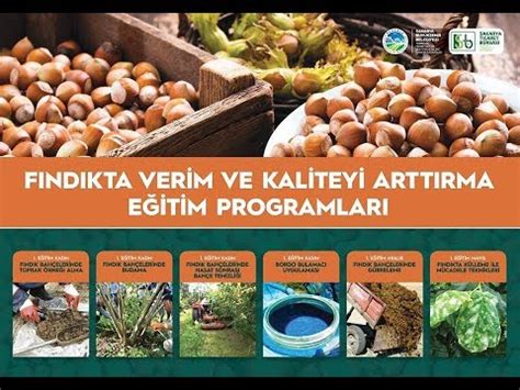 Dikkatlice Fiyat ve Kaliteyi Karşılaştırın